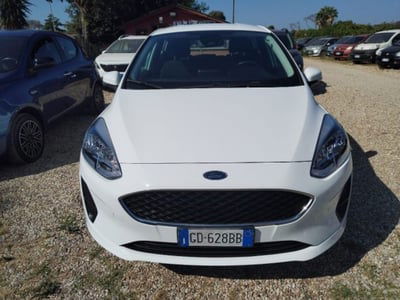 Ford Fiesta 1.1 75 CV GPL 5 porte usata