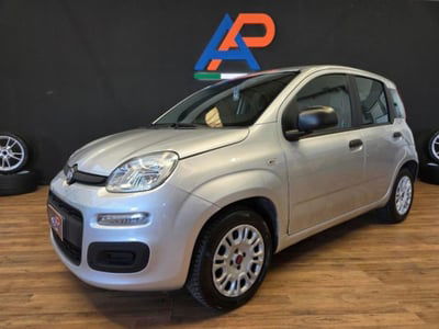 Fiat Panda 1.2 Lounge usata