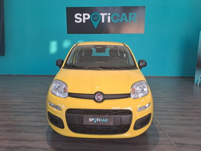 Fiat Panda Cross Cross 1.0 FireFly S&S Hybrid (2)