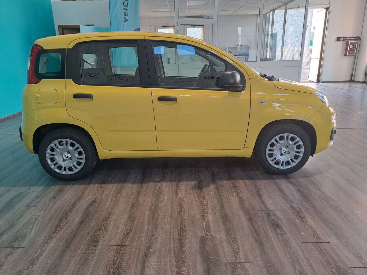 Fiat Panda Cross Cross 1.0 FireFly S&S Hybrid (4)
