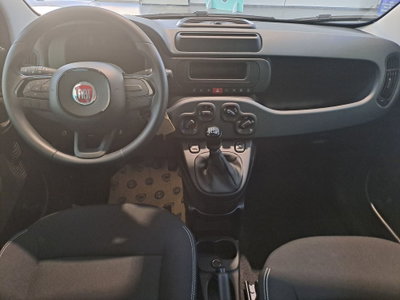 Fiat Panda Cross Cross 1.0 FireFly S&S Hybrid (9)