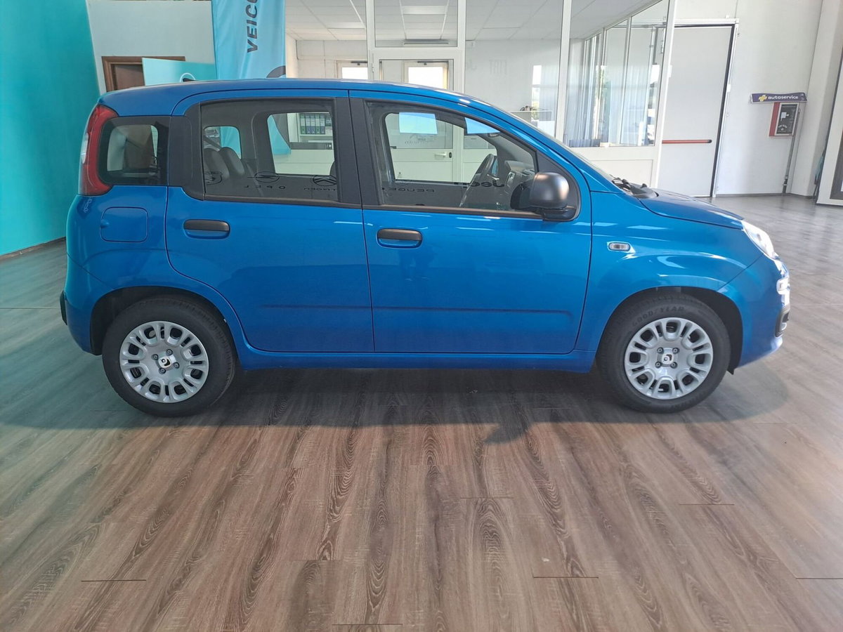 Fiat Panda Cross Cross 1.0 FireFly S&S Hybrid (4)