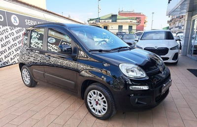 Fiat Panda 1.2 Easy usata