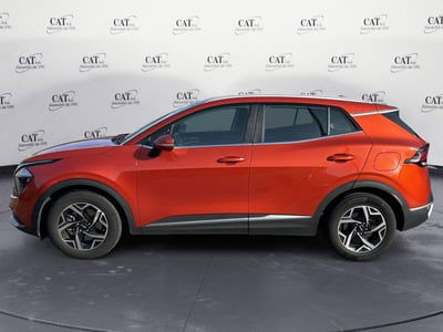 Kia Sportage 1.6 CRDi MHEV Business usata