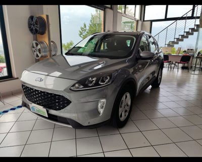 Ford Kuga 1.5 EcoBlue 120 CV 2WD Titanium usata