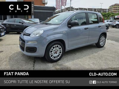 Fiat Panda 1.2 Easy usata