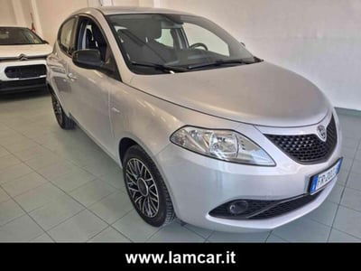Lancia Ypsilon 1.2 69 CV 5 porte Gold usata
