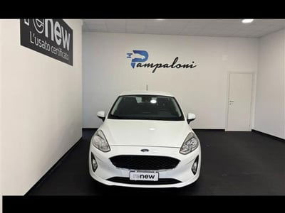 Ford Fiesta 1.1 85 CV 5 porte Titanium usata