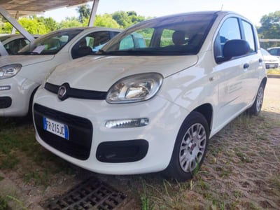 Fiat Panda 1.2 EasyPower Easy usata