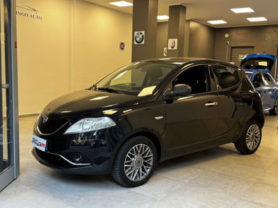 Lancia Ypsilon 1.2 69 CV 5 porte Silver usata