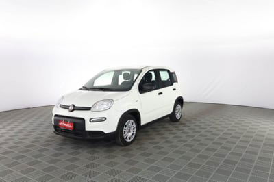 Fiat Panda 1.0 firefly hybrid Pop s&s 70cv nuova