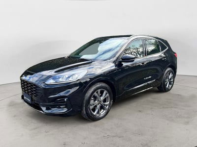 Ford Kuga 1.5 EcoBlue 120 CV 2WD ST-Line usata