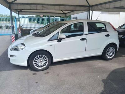 Fiat Punto 1.4 8V 5 porte Easypower Street usata