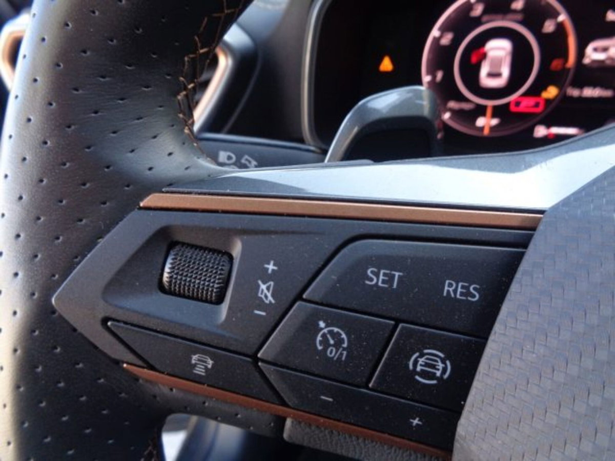 Cupra Formentor Formentor 2.0 tdi 4drive 150cv dsg (11)