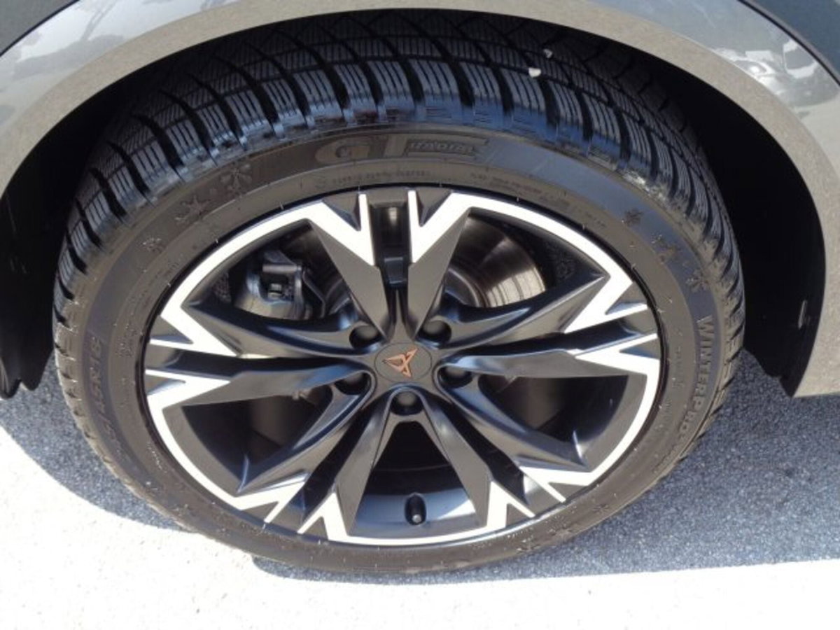 Cupra Formentor Formentor 2.0 tdi 4drive 150cv dsg (14)
