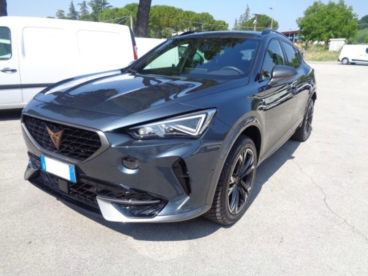 Cupra Formentor Formentor 2.0 tdi 4drive 150cv dsg (3)