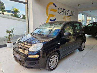 Fiat Panda 1.0 firefly hybrid s&s 70cv 5p.ti usata