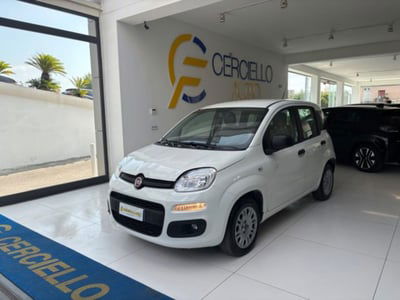Fiat Panda 1.2 EasyPower usata