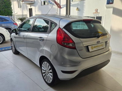 Ford Fiesta 1.4 TDCi 68CV 5 porte Titanium (5)