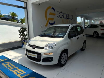 Fiat Panda 1.0 firefly hybrid s&s 70cv 5p.ti usata