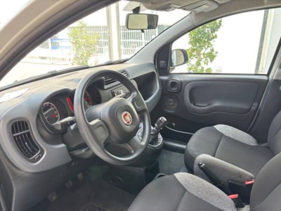 Fiat Panda 1.0 firefly hybrid s&s 70cv 5p.ti (12)