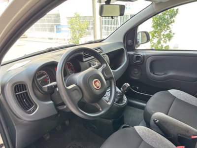 Fiat Panda 1.0 firefly hybrid s&s 70cv 5p.ti (13)