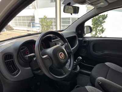 Fiat Panda 1.0 firefly hybrid s&s 70cv 5p.ti (17)