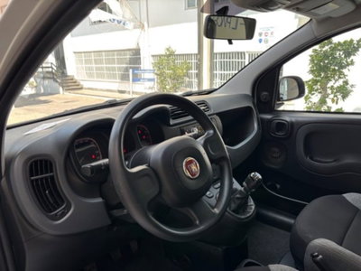 Fiat Panda 1.0 firefly hybrid s&s 70cv 5p.ti (18)