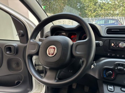 Fiat Panda 1.0 firefly hybrid s&s 70cv 5p.ti (19)