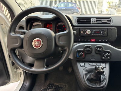 Fiat Panda 1.0 firefly hybrid s&s 70cv 5p.ti (20)
