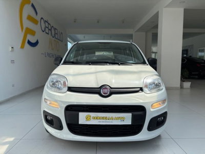 Fiat Panda 1.0 firefly hybrid s&s 70cv 5p.ti (4)