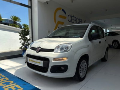 Fiat Panda 1.0 firefly hybrid s&s 70cv 5p.ti (5)