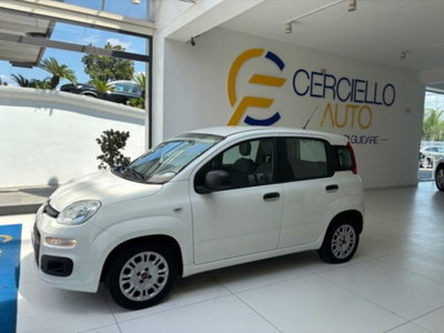 Fiat Panda 1.0 firefly hybrid s&s 70cv 5p.ti (6)