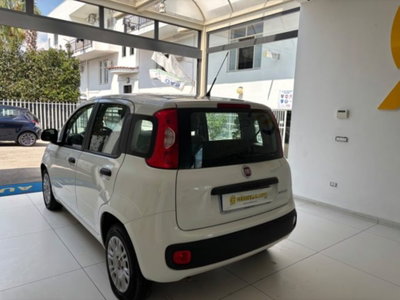 Fiat Panda 1.0 firefly hybrid s&s 70cv 5p.ti (7)