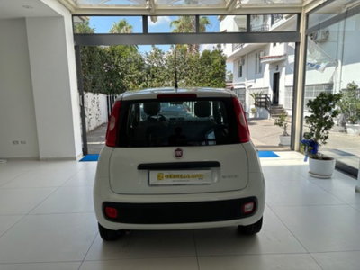 Fiat Panda 1.0 firefly hybrid s&s 70cv 5p.ti (8)