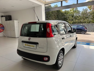 Fiat Panda 1.0 firefly hybrid s&s 70cv 5p.ti (9)