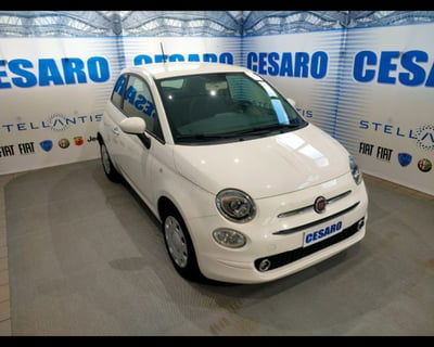 Fiat 500 1.2 Pop usata