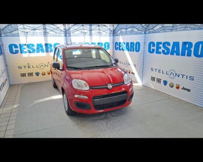 Fiat Panda 1.0 firefly hybrid s&s 70cv 5p.ti nuova