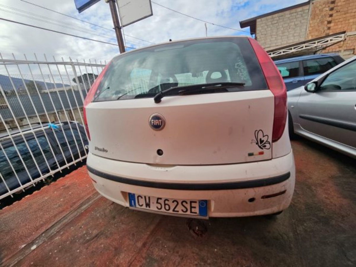 Fiat Punto 1.2 5 porte Active Natural Power (11)