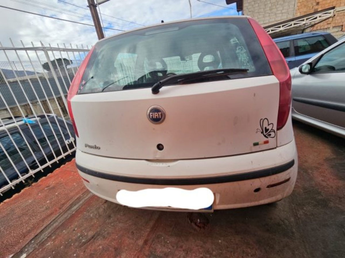 Fiat Punto 1.2 5 porte Active Natural Power (3)