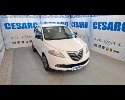 Lancia Ypsilon 1.2 69 CV 5 porte Platinum usata