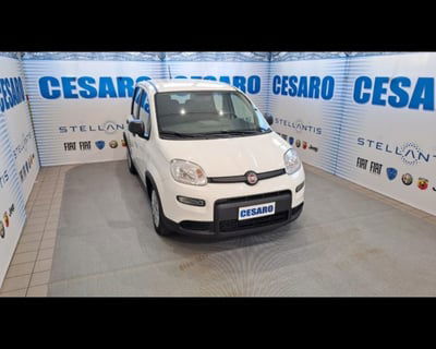 Fiat Panda 1.0 firefly hybrid s&s 70cv 5p.ti usata