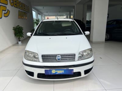 Fiat Punto 1.3 Multijet 16V 5 porte Dynamic usata