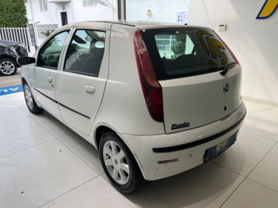 Fiat Punto 1.3 Multijet 16V 5 porte Dynamic (2)