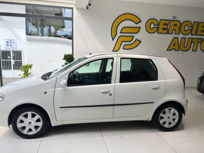 Fiat Punto 1.3 Multijet 16V 5 porte Dynamic (3)