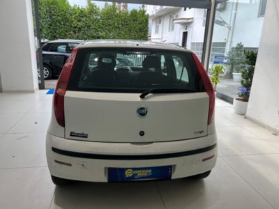 Fiat Punto 1.3 Multijet 16V 5 porte Dynamic (4)
