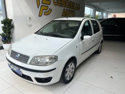 Fiat Punto 1.3 Multijet 16V 5 porte Dynamic (9)