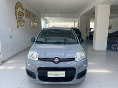 Fiat Panda 1.2 EasyPower Easy usata