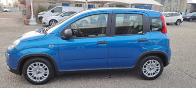 Fiat Panda 1.0 FireFly S&S Hybrid (6)