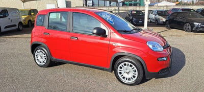 Fiat Panda 1.0 FireFly S&S Hybrid nuova